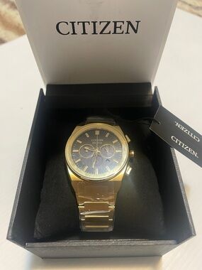 Citizen Gold and Black Chronograph Bracelet Watch